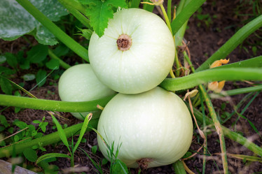 Similar image 21128363