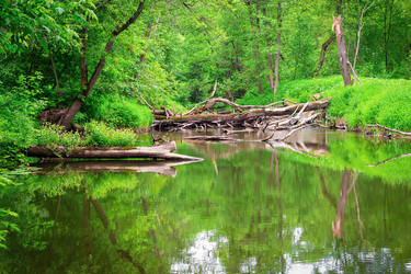 Similar image 21128367