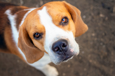 Similar image 21128368