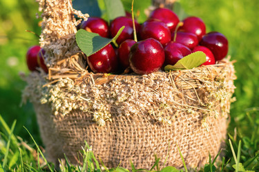 Similar image 21128371