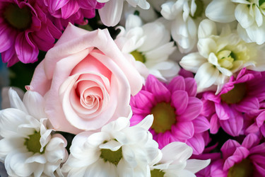 Similar image 21128372