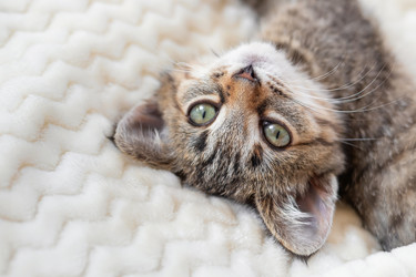 Similar image 21128375