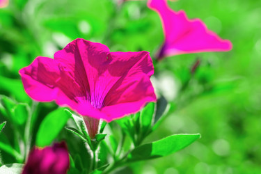 Similar image 21128379