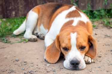 Similar image 21128380