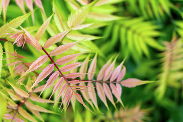 Similar image 21128381