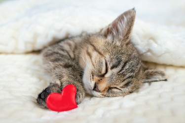 Similar image 21128383