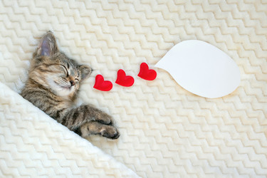 Similar image 21128391