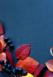 Similar image 21128767