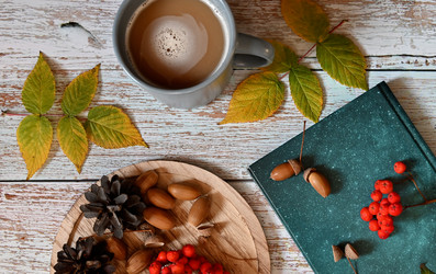 Similar image 21128779