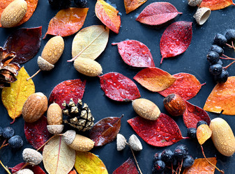 Similar image 21128781