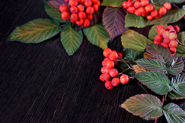 Similar image 21128782