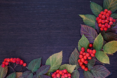 Similar image 21128784