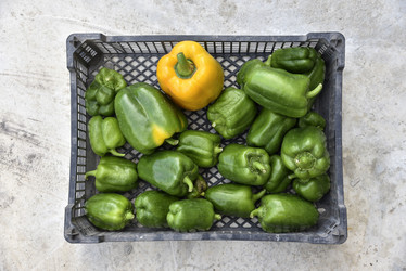 Similar image 21129399