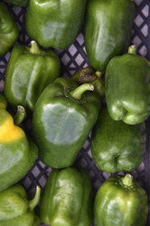 Similar image 21129402