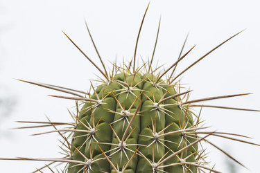 Similar image 21129805