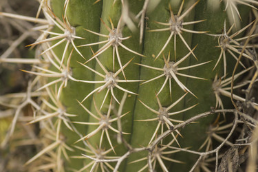 Similar image 21129806