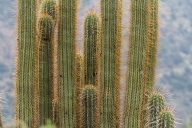 Similar image 21129808