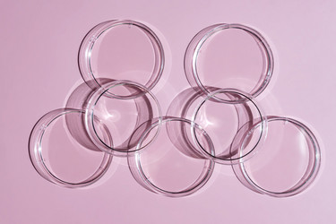 Similar image 21130621