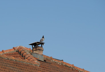 Similar image 21128409