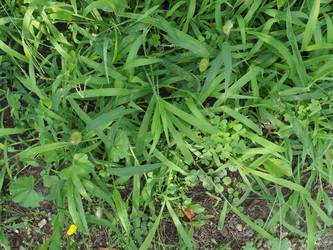 Similar image 21128645