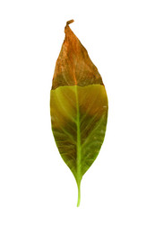 Similar image 21128691