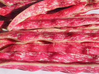 Similar image 21128708