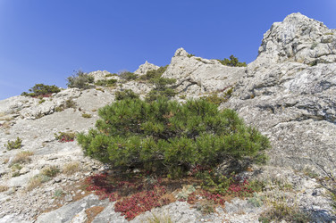 Similar image 21128419