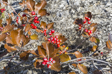 Similar image 21128420