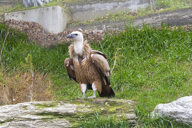 Similar image 21128425