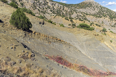 Similar image 21128426