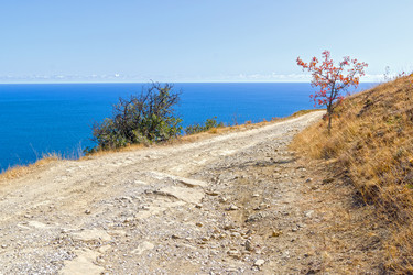 Similar image 21128427