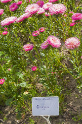 Similar image 21128430