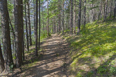 Similar image 21128432