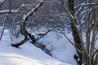 Similar image 21128436