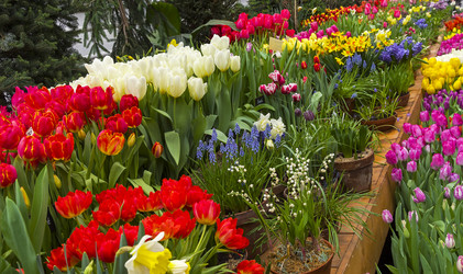 Similar image 21128438