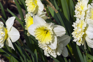 Similar image 21128440