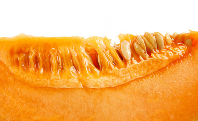 Similar image 21130114