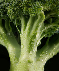 Similar image 21130123