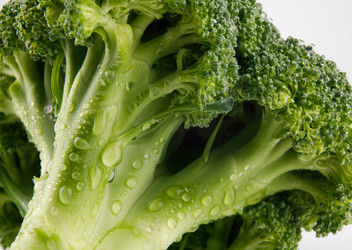 Similar image 21129200