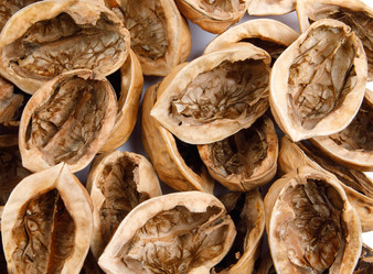 Similar image 21129201