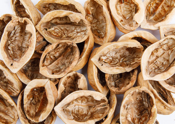 Similar image 21129203