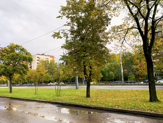 Similar image 21128798