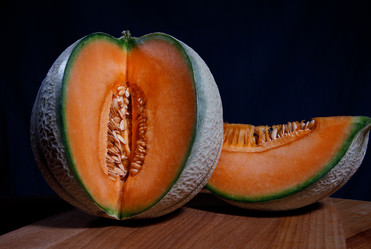 Similar image 21129213