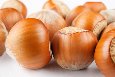 Similar image 21129223