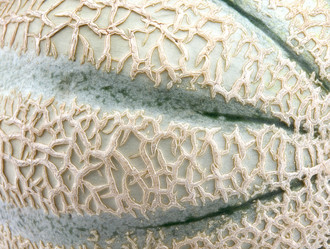 Similar image 21129238