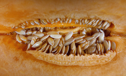 Similar image 21128814