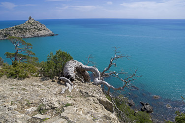 Similar image 21129416