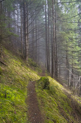 Similar image 21129423