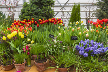 Similar image 21129436