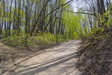 Similar image 21129439